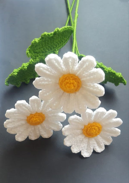 Ivory Daisy Crochet Flower